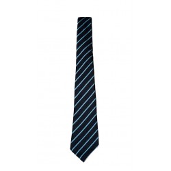 St Marys Caldercruix Elasticated Tie